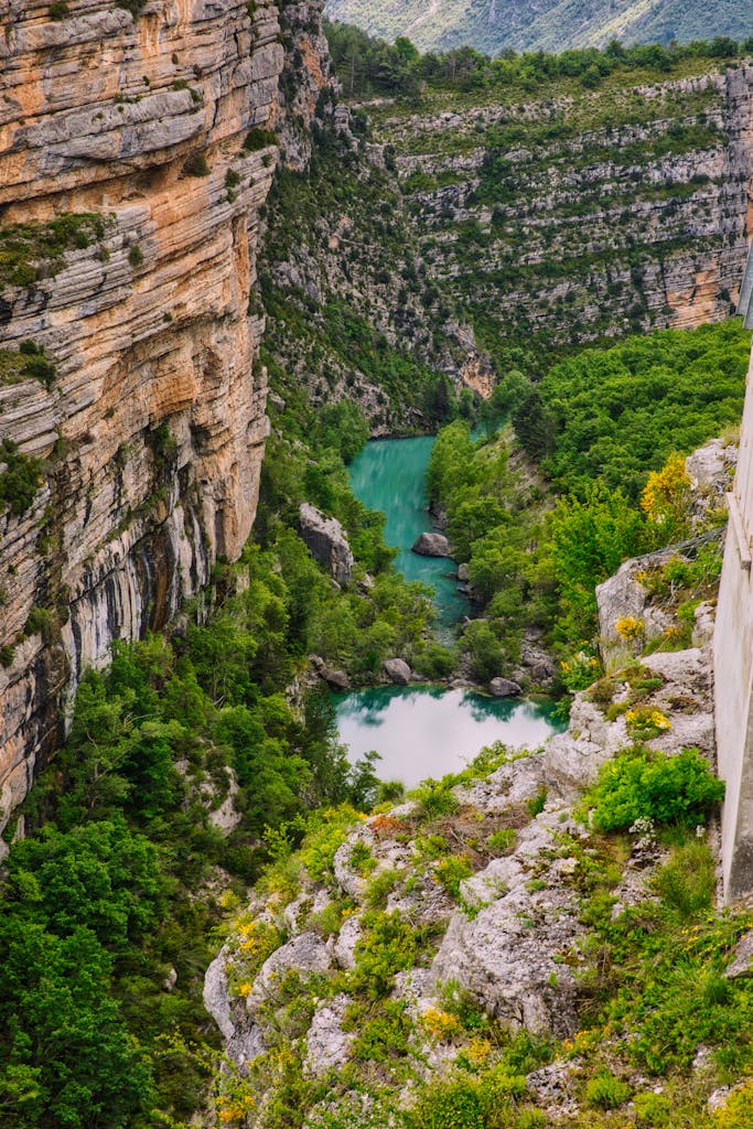 Explore the breathtaking turquoise river winding through the lush gorge in France.